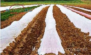 Floating row cover for prevent the formation of frost over crop