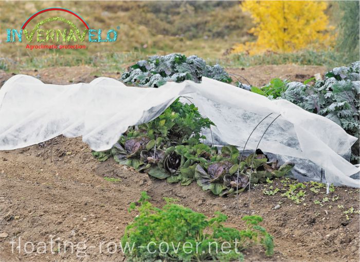Floating row cover for protection against freeze, birds and insects