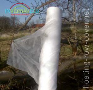 frost cover in cropflied