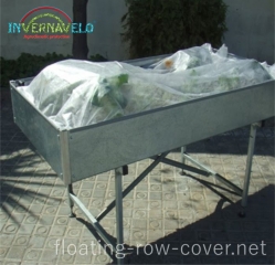 Floating row cover over vegetables shoots to protect of desiccation